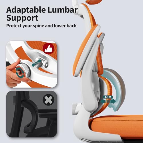 ergonomic chair