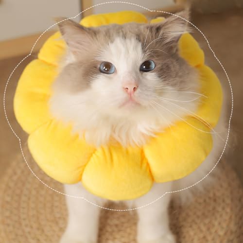 Wishstar Halskrause Katze Größen S, Leckschutz Katze, Weich Halskragen für Katzen Kleiner Hunde Nach Operation, Elisabethanischer Kragen, Sonnenblume Halskrause