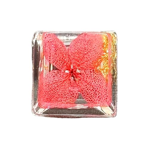 nhCh̋hJOEMvt@CL[LbviJjJL[{[hpjL[Lbv