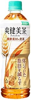 コカコーラ 爽健美茶 健康素材の麦茶 PET 600ml×24本入 【×2ケース：合計48本】〔機能性表示食品：届出番号B240〕