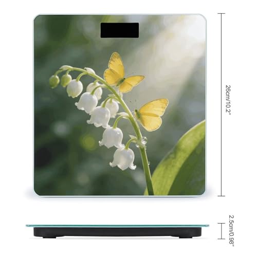 Báscula Digital de Baño VstaDank con Pantalla LCD miniatura 2