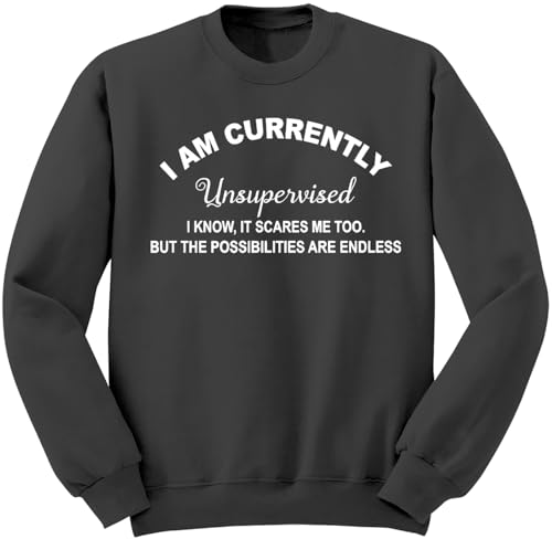 I Am Currently Unsupervised Sweatshirt, I Am Currently Unsupervised Hoodie