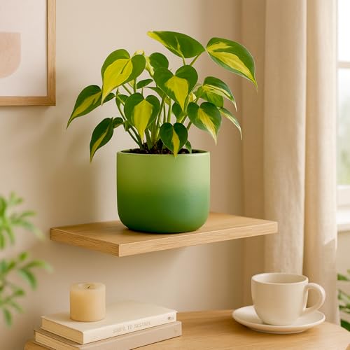 Image of Urban Plant Terracotta Pot - Trendy Planter for Modern Home & Garden Spaces (Gala Gradient Terracotta Pot - Green)