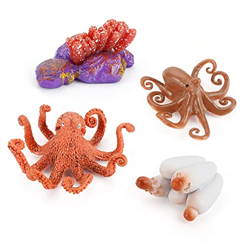 URFEDA Life Cycle Stages Figures Animal Growth Cycle Model Set Science ...