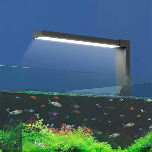 Image of LED Aquarium Light Desktop Mini Fish Tank Lamp Full Spectrum White Color Dual Mode for Betta Fish Mini Aquarium Tank