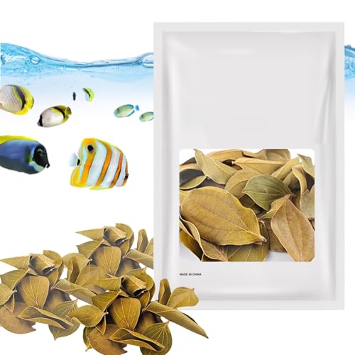Djowyh Hojas secas para acuarios, hojas de acuario, 30 hojas de quinua para caracoles y cangrejos de río. La quinua deja un hábitat natural, tanino, mejora la inmunidad,