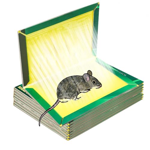 Piege a Souris, 6 Plaques Collantes Souris, Pièges à Rats, Plaques de glu Anti Rat, Attrape Professionnel 6pcs Piège Souris et à Rats