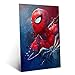 Displate Offiziell Spiderman MetallPoster Magnetische Befestigung Inklusive Lizenziert Bilder Hochwertiges Poster Webhead Poster 45 cm x 32 cm