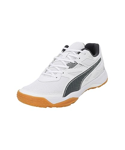 Puma Unisex Solarflash II Indoor Shoe