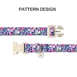 Lionet Paws Floral Dog Collar- Cute Spring Wildflowers Daisy Fleabane Dog Collars with Plastic Buckle, Light Adjustable Dog Collars for Small Medium Dogs - Image 4