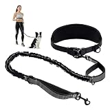 Joggingleine Hunde, Laufleine für Hunde, Bauchgurt Hundeleine zum Joggen Laufen Wandern mit Verbreiterter Gürtel, Reflektierende Nähte, Laufgurt für Große Hunde bis 50kg