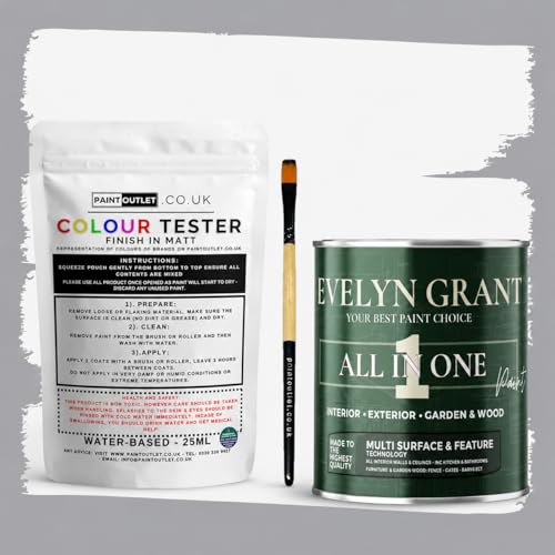 Image of Evelyn Grant All-IN-ONE Paint & Primer - Sample Colour Tester Pot with Brush - Multi-Surface Paint For Interior Walls, Outdoor Garden & Exterior Walls, High Durability Multi-Feature Brilliant White
