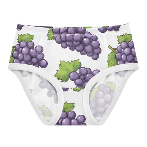 Wusikd Purple Grapes Girls' Underwear Cotton Green Leave Girls Briefs Soft Toddler Underwear 2T