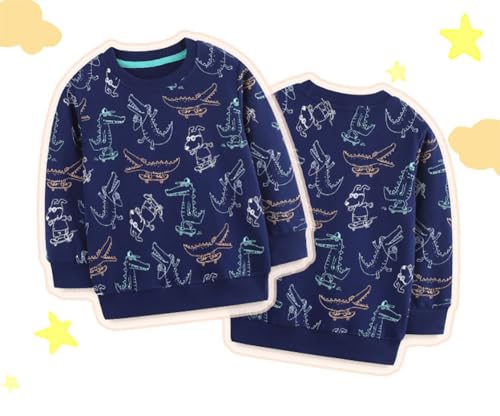 Boys Sweatshirts Casual Sweatshirts Cotton Sweatshirts Long Sleeve T-shirts Crew Neck Cartoon Tops for Boys-3024