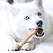 Pet Qwerks Flavorit Nylon Chew BarkBone - Fillable Dog Bone for Moderate Chewers - Peanut Butter Flavor - XL