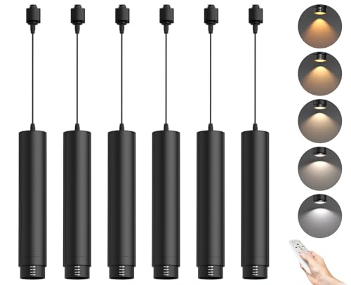 TuyuBEE Remote Control H Track Pendant Lights with Adjustable Cord,