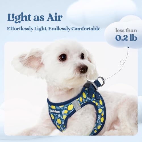 Image of rabbitgoo Dog Harness Small Sized and Leash Set, Step-in Puppy Pet Vest
