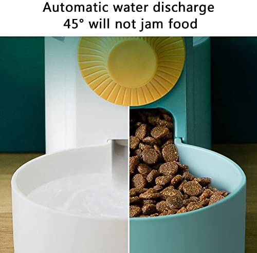 Distributeur d'eau cage automatique 1L pour garantir une hydratation continue