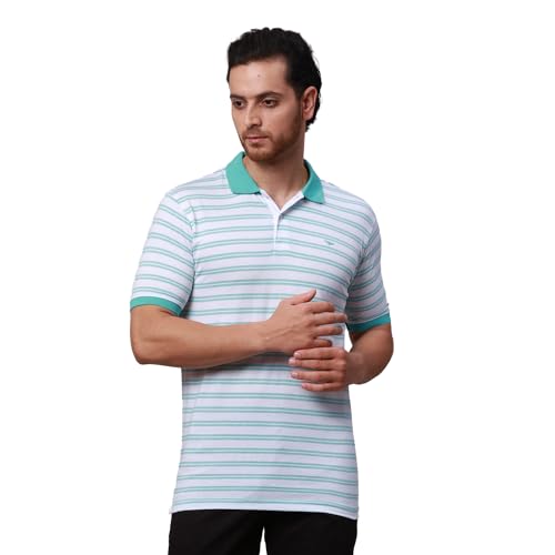 Image of Park Avenue Men's Cotton Polyester Blend Stripe Pattern Slim Fit Rib Collar Polo Neck Half Sleeve Casual T-Shirt