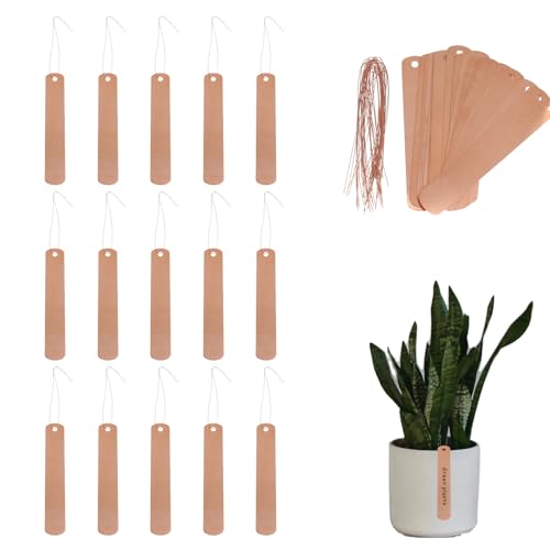 Hemoton 60 Stück Pflanzenschilder Hängend Kupfer Pflanzenetiketten Hängeetiketten Pflanzen Blumen Labels mit Linie Garten Gewächshaus Balkon Blumentopf Baum Etiketten Roségold