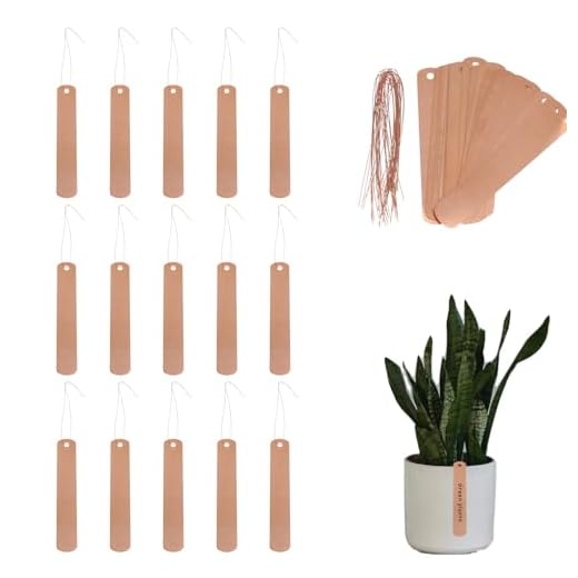 Hemoton 60 Stück Pflanzenschilder Hängend Kupfer Pflanzenetiketten Hängeetiketten Pflanzen Blumen Labels mit Linie Garten Gewächshaus Balkon Blumentopf Baum Etiketten Roségold