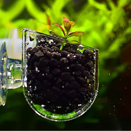 Vasos de alimentación acrílicos transparentes para peces pequeños y plantas de acuario 4