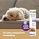 Doppelherz Relax Spray für Hunde - Umgebungsspray für mehr Wohlbefinden - geruchsneutral - 90 ml
