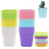 30 Piezas Macetas Pequeñas, 7 cm Macetas Plastico, Maceteros Pequeños, Maceta Plastico con Bandeja, Tiestos para Plantas Exterior para El Cultivo de Plántulas, Plantas Suculentas y Planta Pequeñas