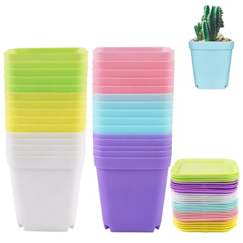 30 Piezas Macetas Pequeñas 7 cm Macetas
