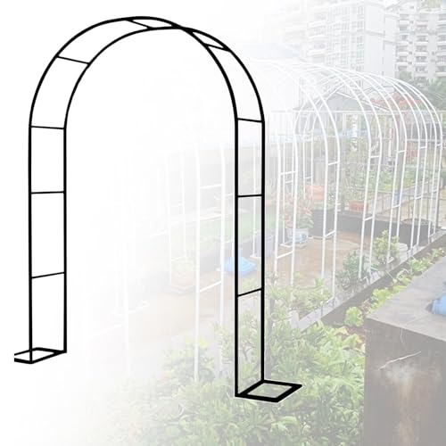 Arche de jardin pour plantes grimpantes et roses en tube galvanisé de 19mm
