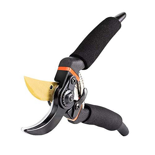 Tijeras de podar de titanio profesional de 20 cm de SEEYC (GPPS-1003), cortadoras de mano, cortaúñas de jardín.