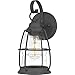 Quoizel AMR1910MB Admiral Coastal Armour Outdoor Pendant Lantern, 1-Light 150 Watt, Mottled Black