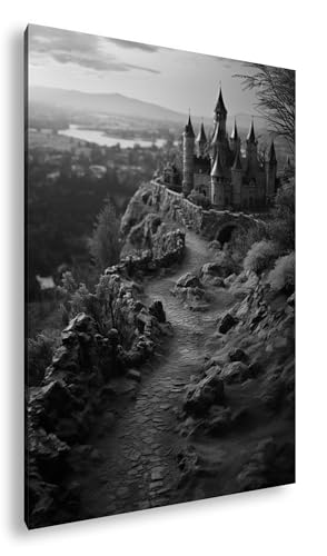 Château de conte de fées deyoli tableau cadre bois paysage noir et blanc