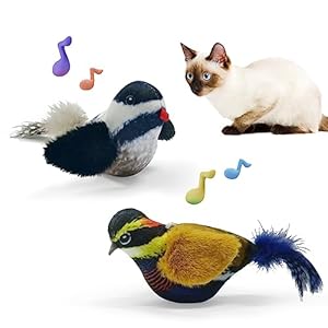 Cat Toys Chirping Tit 2 Pcs with Catnip SilverVine, Suitable for Cat Wand Toys, Simulation Bird Design, Interactive Toys for Indoor Kitty Kitten Exercise, Orange and Black