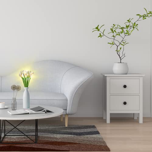 Viverie White Calla Lily Preserved Flowers, Led Nightlight, Artificial Flowers For Girlfriend Wife Mom Couple Her, Anniversary Valentines Birthday Wedding Unique Special Presents, Personalized Gift #TOP2