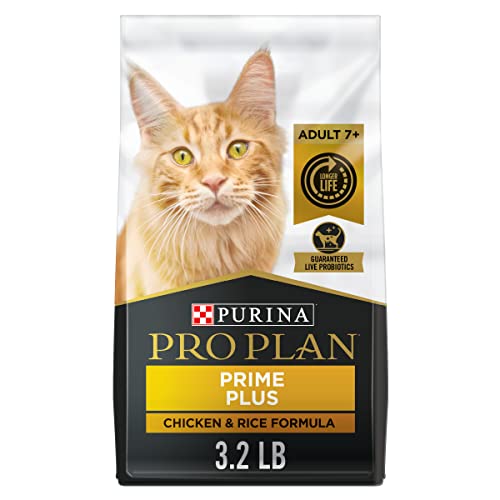 Best Dry Cat Food For Weight Gain Our Favorite in 2022