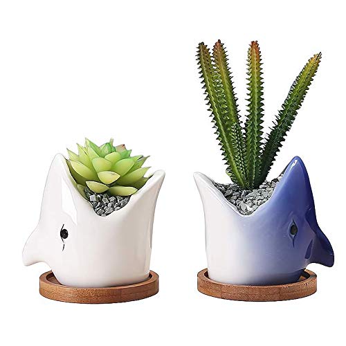 Cute 3.85 inch Tall Animal Shark Shaped Ceramic Succulent Cactus Flower Pots (White+Blue)