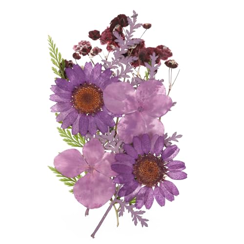 Flores secas prensadas naturales para manualidades miniatura 1