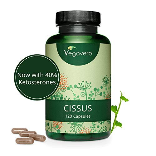 VEGAVERO® Cissus Quadrangularis Kapseln | EINZIGARTIG: 40% Ketosterone | Hochdosierter Cissus Extrakt | 120 Kapseln (4-Monatsvorrat) | Vegan  keine Gelatine | Ohne Zusatzstoffe