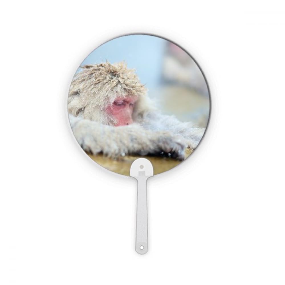 Photographie d'animaux sublimée par cet éventail rond en plastique durable