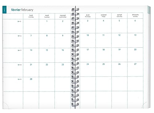 Exacompta Agenda de bureau All in One Easytime 21S spiralé Mini Labo 15 x 21 cm Semainier 2027 - vue 6