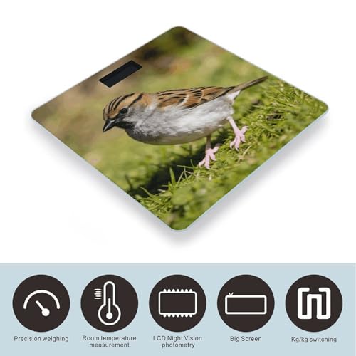 Báscula Digital para Baño con Pantalla LCD y Vidrio Templado miniatura 3