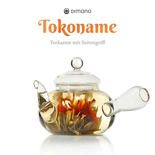 Tetera japonesa Kyusu de cristal en tarro de cristal estilo Tokoname con filtro y colador de té 600ml por Dimono - Imagen 7