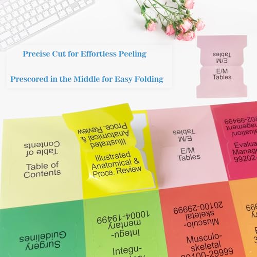 Onglets Bluebook 22nd Edition index livre code couleur 90 - 6