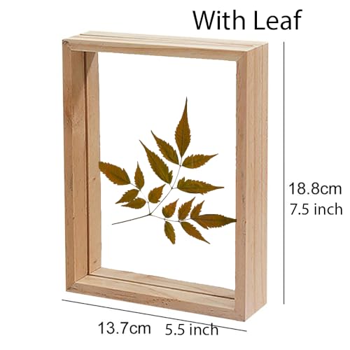 Image of Desi Rang Wooden Rectangular Frame For Wall Decor Table Top Hanging Any Green Or Dry Plant Leaf Picture Photo DIY Gift Home Decoration (Natural,Rec,7.5X5.5Inch,With Dry Leaf)