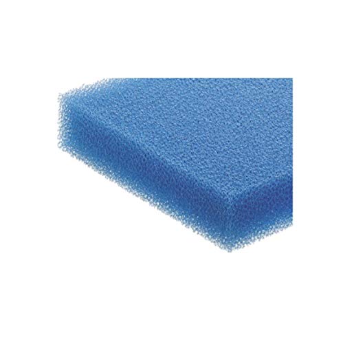 Festool Nassfilter NF-CT 26/36/48 – Schaumstofffilter für Nass-Absaugung – Ansicht 2