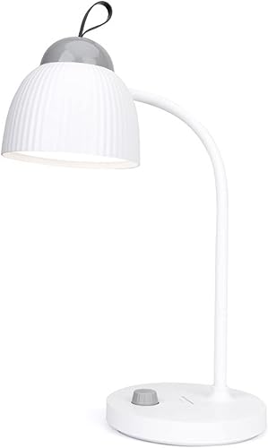 ALASSE Reading Lamp, Creative Hose Reading Study Desk Lamp Eye Protection Desk Lamp USB Charging Desk Lamp Dimming Switch Bedside Desk Lamp