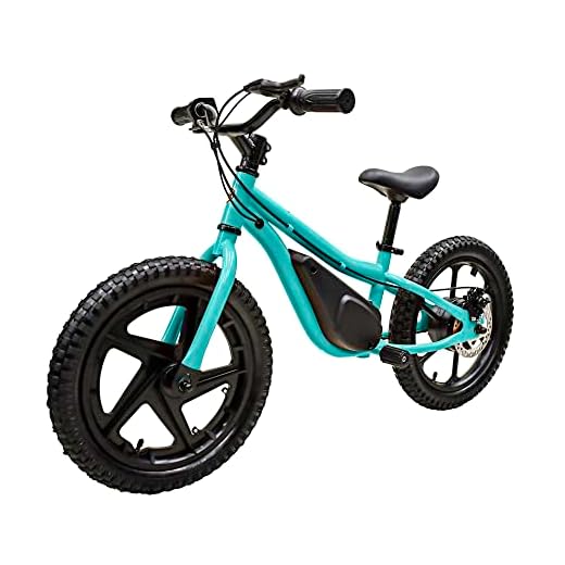 M MASSIMO MOTOR 24V 350w Electric Balance Bike, Dirt Bike for Kids E16 w/Adjustable Seat Height 16" Large Wheel Aluminum Body Frame Up to 6 Hours Long Range Metal Rear Rim(Teal)