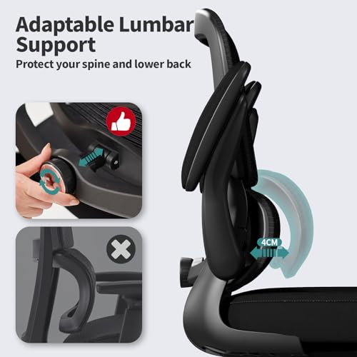ergo office chair