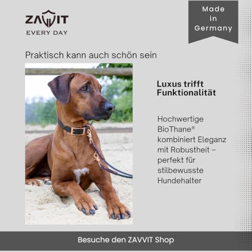 Langlebiges BioThane Hundehalsband 16/19 / 25mm mit Schnallenverschluss | Wasserfest & Robust | In 5 Größen (XS, S, M, L, XL) | Passend zu den ZAVVIT Leinen (Schwarz/Roségold)